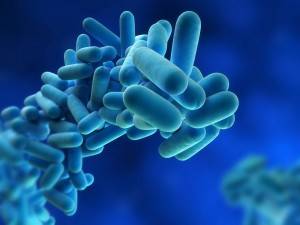 legionella y desinfeccion