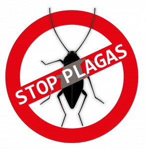 Control y prevención de plagas en Valencia