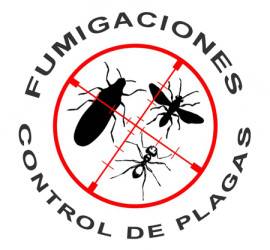 Presupuesto fumigación Valencia