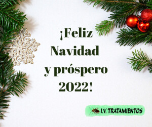 navidad-iv-tratamientos