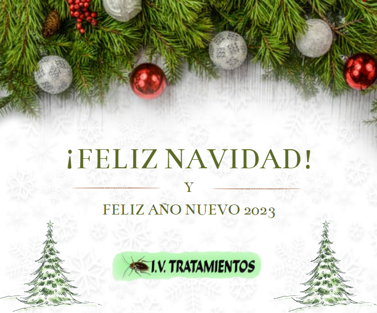 navidad iv tratamientos